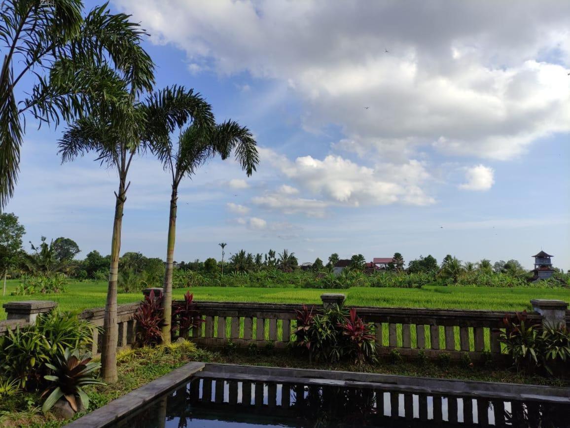 Anggarakasih Ubud Villa Buitenkant foto