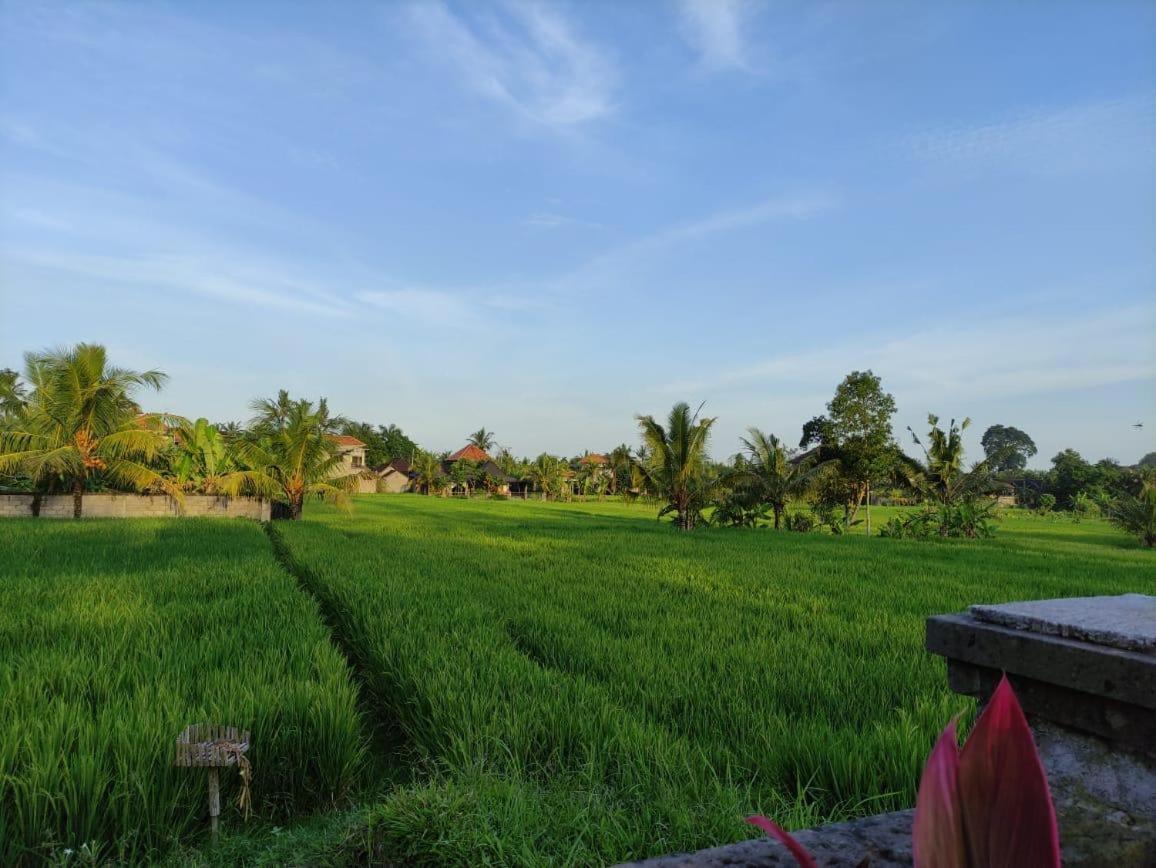 Anggarakasih Ubud Villa Buitenkant foto